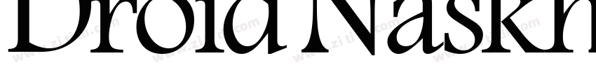 Droid Naskh Shift Al字体转换